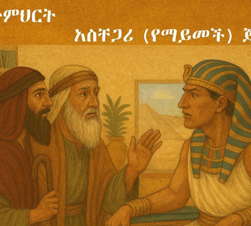 3ኛ ትምህርት – አስቸጋሪ (የማይመች) ጅማሮ | Rough Start