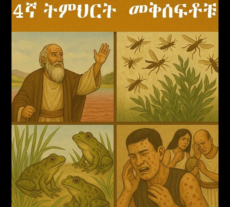 4ኛ ትምህርት – መቅሰፍቶቹ | The Plagues