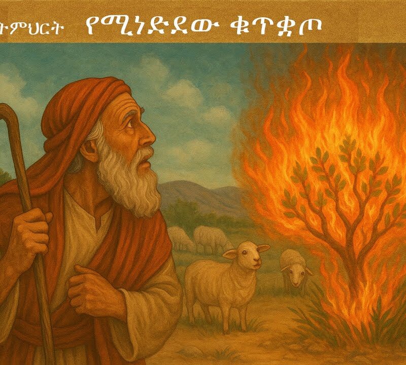 2ኛ ትምህርት – የሚነድደው ቁጥቋጦ | The Burning Bush