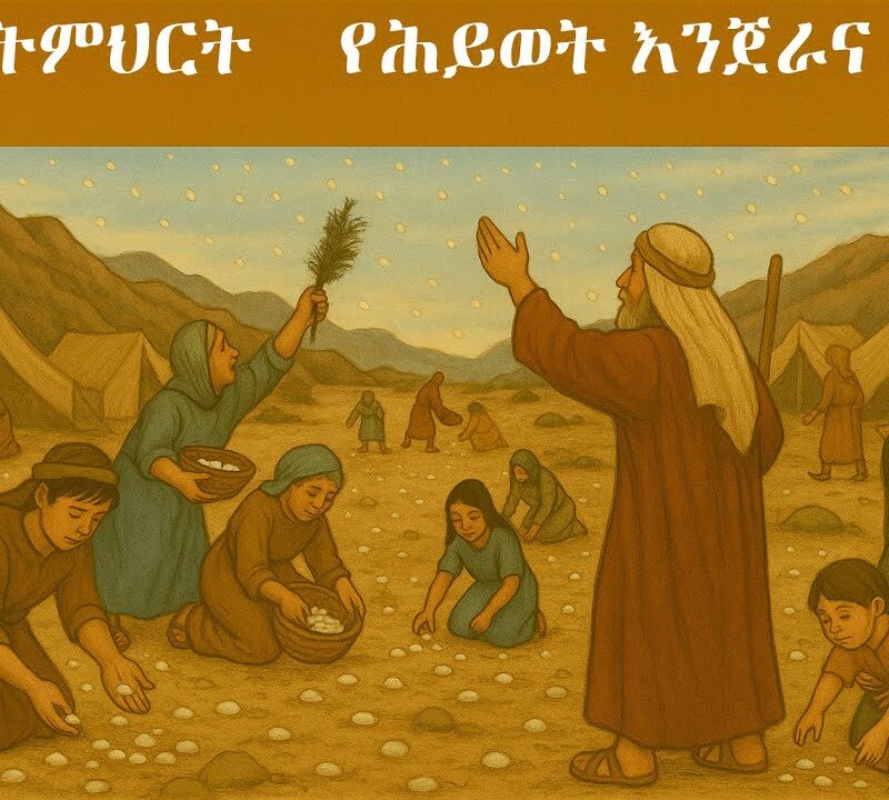 7ኛ ትምህርት – የሕይወት እንጀራና ውኃ | The Bread and Water of Life