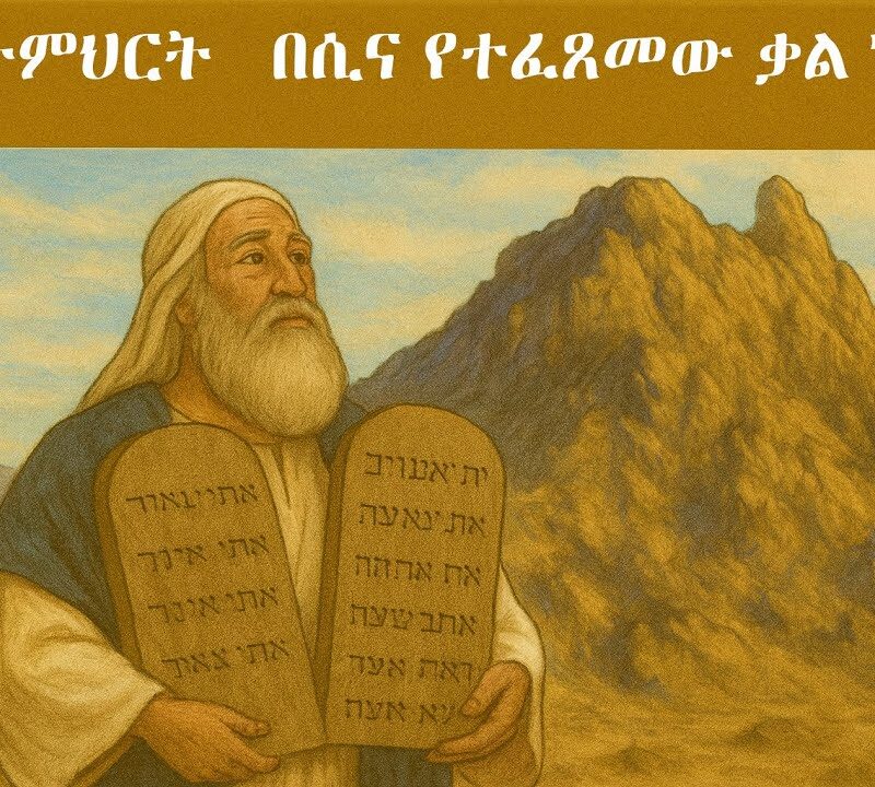 8ኛ ትምህርት – በሲና የተፈጸመው ቃል ኪዳን | Covenant at Sinai