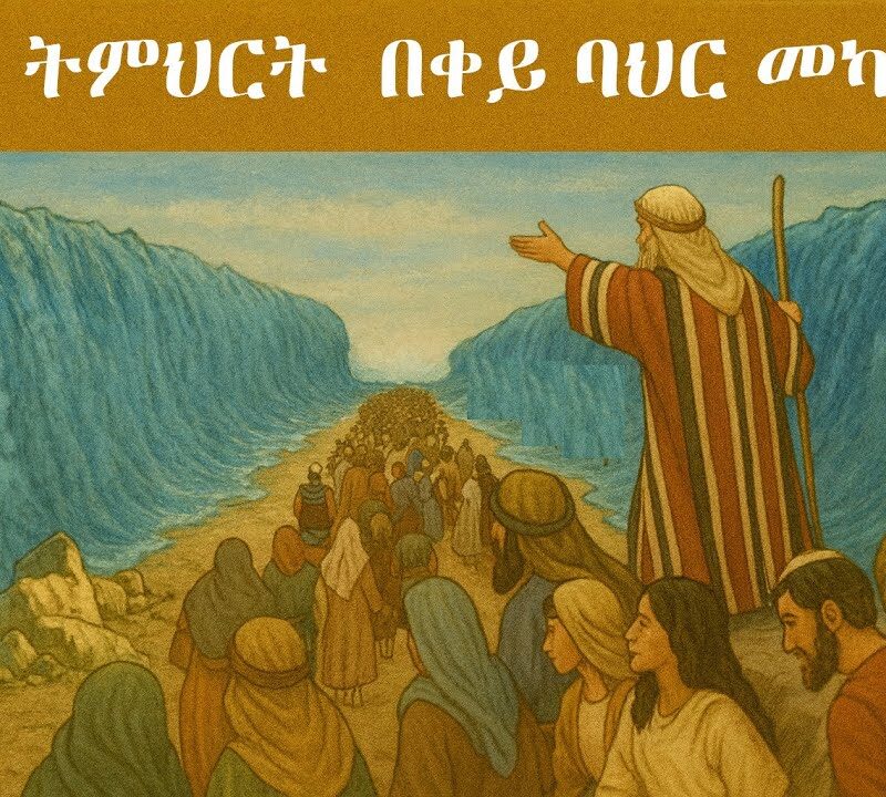 6ኛ ትምህርት – በቀይ ባህር መካከል | Through the Red Sea