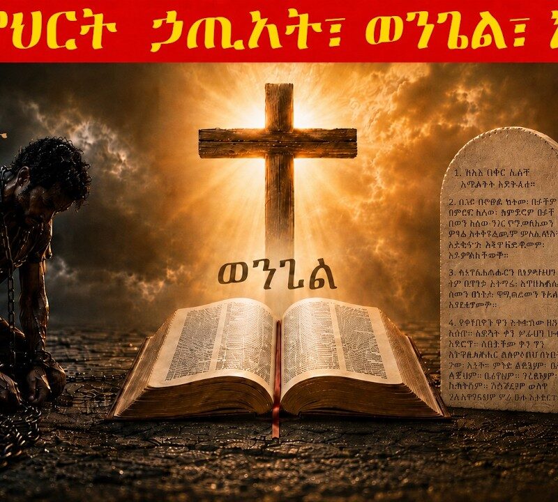 9ኛ ትምህርት – ኃጢአት፣ ወንጌል፣ እና ህጉ | Sin, the Gospel, and the Law
