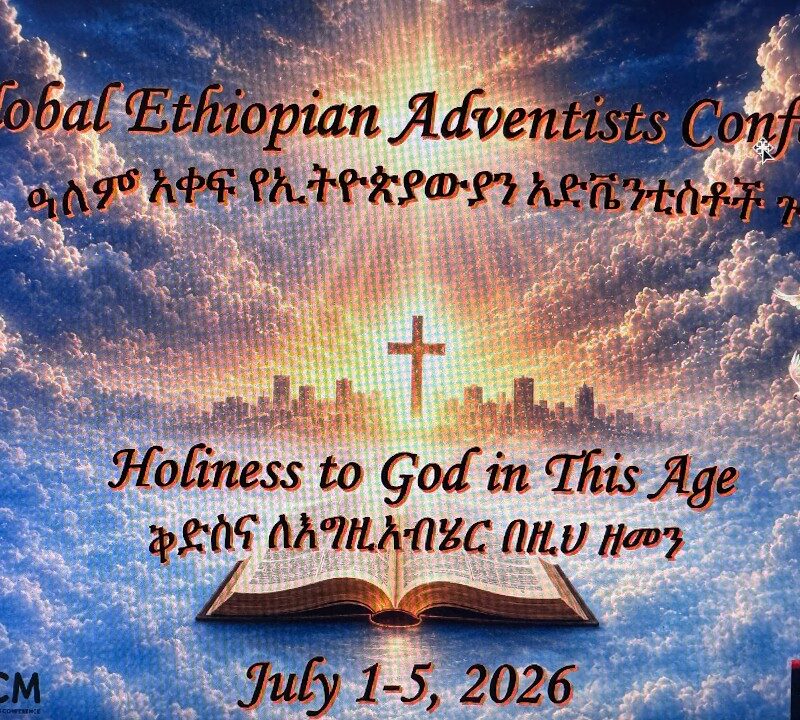Global Ethiopian Cyber Conference_ Day 4_ Afternoon